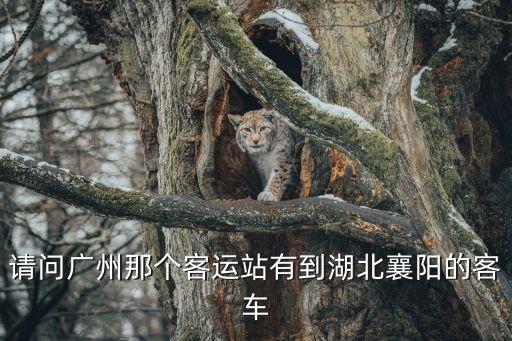 請(qǐng)問(wèn)廣州那個(gè)客運(yùn)站有到湖北襄陽(yáng)的客車