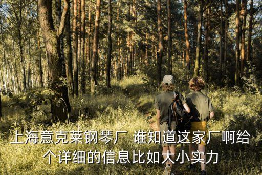 上海市有哪些鋼琴制造廠，上海意克萊鋼琴廠 誰知道這家廠啊給個詳細的信息比如大小實力