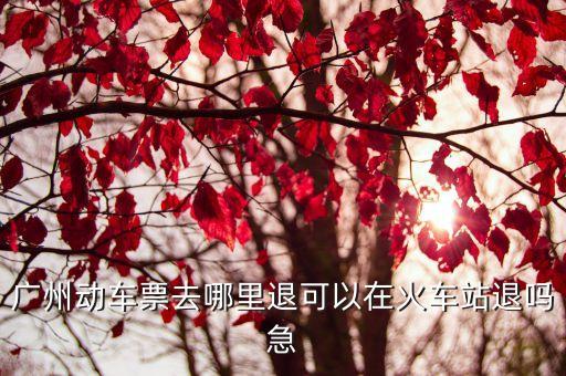 廣州動車票去哪里退可以在火車站退嗎急