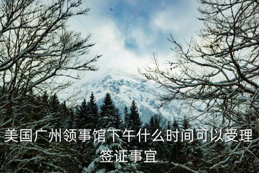 美國廣州領事館下午什么時間可以受理簽證事宜