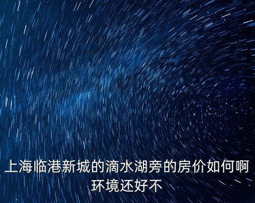 上海市臨港片區房價，臨港新城老蘆公路江山路樓盤現在新房房價是多少錢一個平方