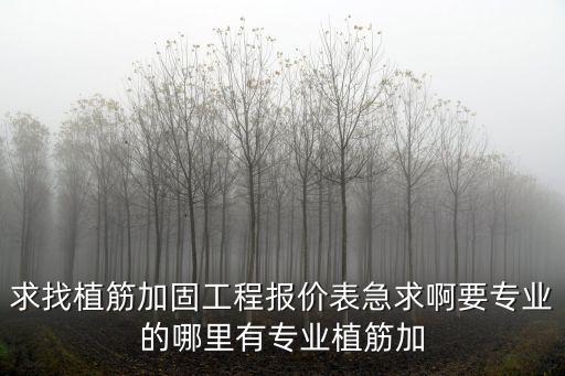 求找植筋加固工程報(bào)價(jià)表急求啊要專(zhuān)業(yè)的哪里有專(zhuān)業(yè)植筋加