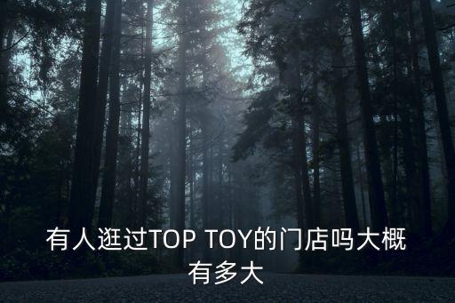 有人逛過TOP TOY的門店嗎大概有多大