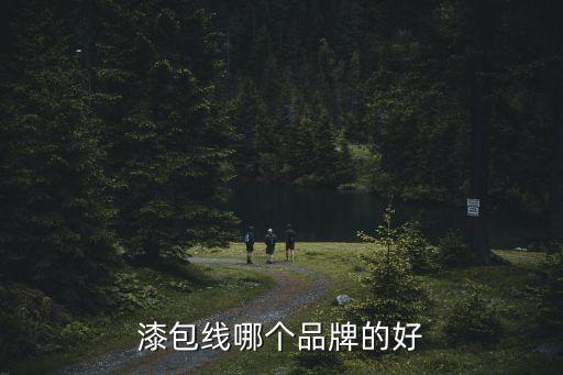 漆包線哪個品牌的好