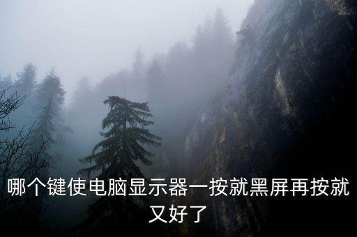 哪個鍵使電腦顯示器一按就黑屏再按就又好了