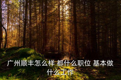 廣州順發特快班怎么樣，廣州順豐快遞的運作員是待遇如何是三金的嗎