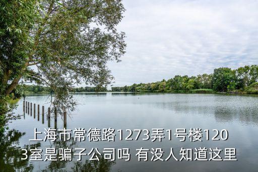 中駿天悅 上海市，上海市常德路1273弄1號樓1203室是騙子公司嗎 有沒人知道這里