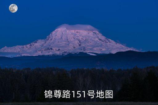 上海市錦尊路399，錦尊路151號(hào)地圖
