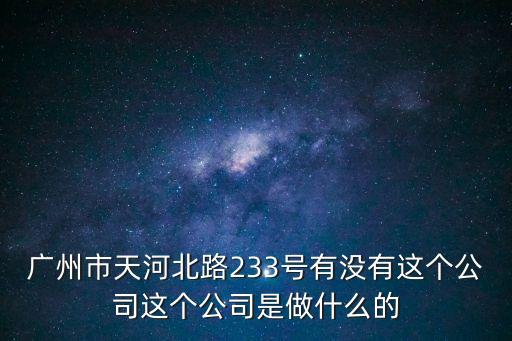 廣州市天河北路233號有沒有這個公司這個公司是做什么的