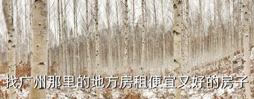 廣州紅棉苑二手房出租，找廣州那里的地方房租便宜又好的房子