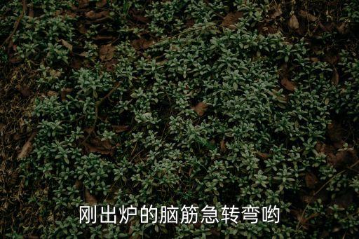 小母牛坐飛機，剛出爐的腦筋急轉彎喲