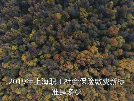 上海市2019年5月社保繳費基數，2019年上海職工社會保險繳費新標準是多少