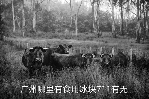 廣州保鮮冰袋，廣州保暖袋批發(fā)詳細(xì)地址在那里