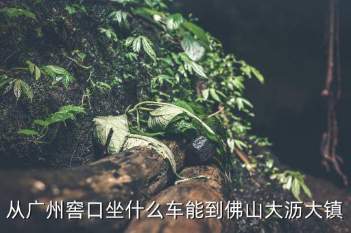 從廣州窖口坐什么車能到佛山大瀝大鎮