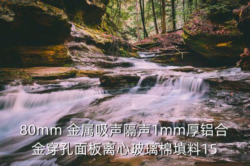 廣州鋁穿孔板圖片，80mm 金屬吸聲隔聲1mm厚鋁合金穿孔面板離心玻璃棉填料15