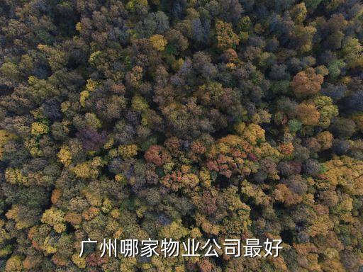 廣州恒越華鼎廣場物業(yè)，廣州有哪些物業(yè)管理公司