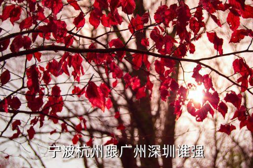 寧波杭州跟廣州深圳誰強