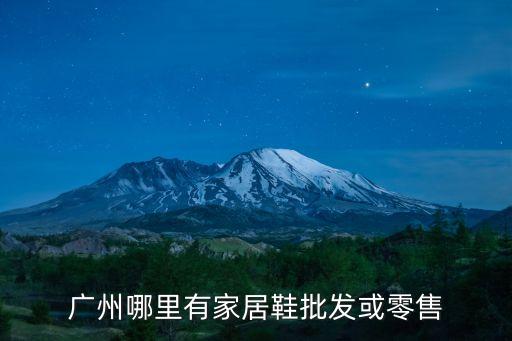 廣州哪里有家居鞋批發或零售