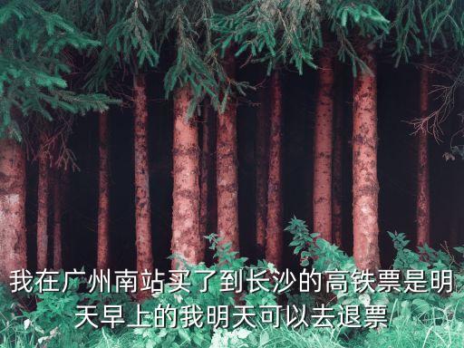 廣州南站退票怎么退，在廣州南站買的輕軌票不要了我現(xiàn)在又不在廣州南站怎么退  搜