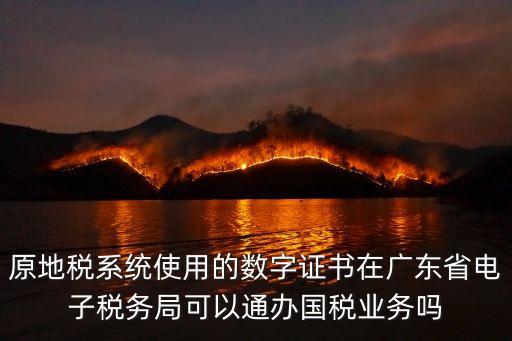 原地稅系統使用的數字證書在廣東省電子稅務局可以通辦國稅業務嗎