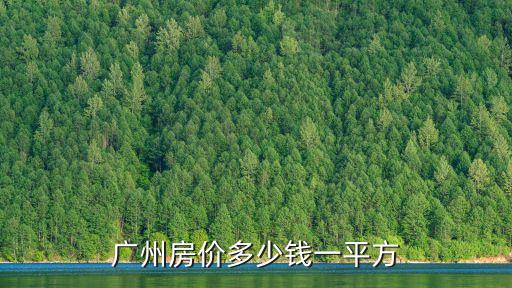 廣州房?jī)r(jià)多少錢一平方