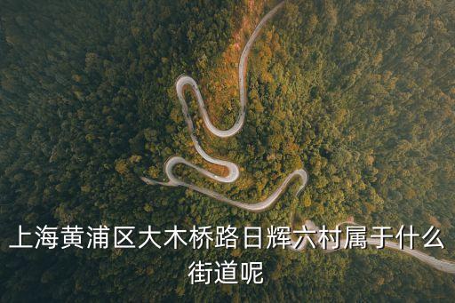 上海黃浦區大木橋路日輝六村屬于什么街道呢