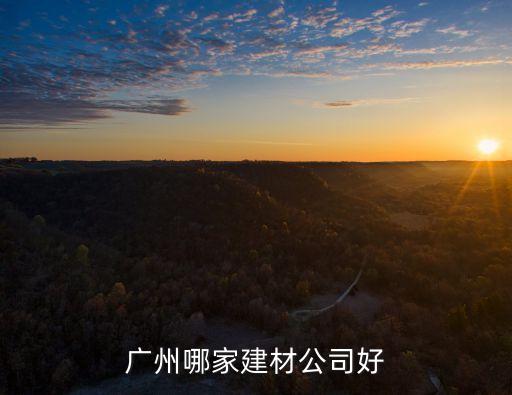廣州哪家建材公司好