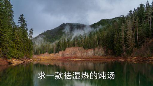 廣州人祛濕熱排毒健脾湯，廣東氣候濕氣重適合飲食什么湯可以除濕