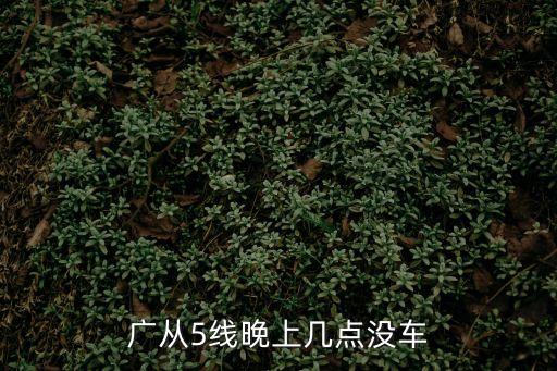 廣從5線晚上幾點沒車