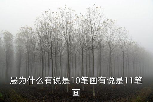 晟為什么有說是10筆畫有說是11筆畫
