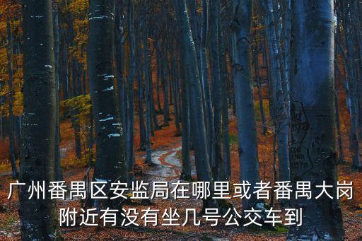 廣州番禺區(qū)安監(jiān)局在哪里或者番禺大崗附近有沒有坐幾號(hào)公交車到