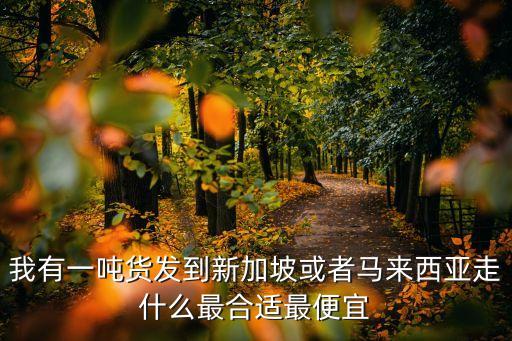 我有一噸貨發到新加坡或者馬來西亞走什么最合適最便宜