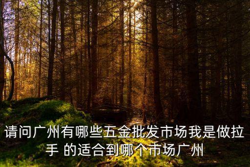 請問廣州有哪些五金批發(fā)市場我是做拉手 的適合到哪個市場廣州