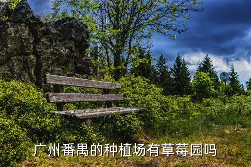廣州番禺的種植場有草莓園嗎