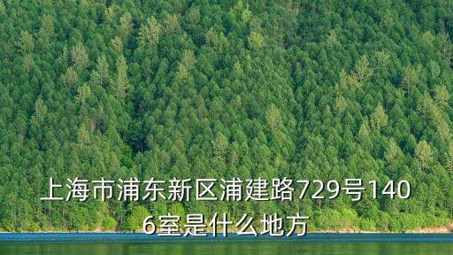 上海市浦東新區浦建路729號1406室是什么地方