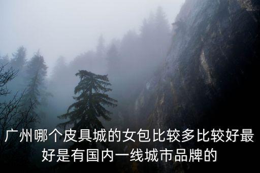 廣州哪個皮具城的女包比較多比較好最好是有國內一線城市品牌的