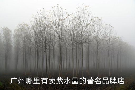 廣州哪里有賣紫水晶的著名品牌店