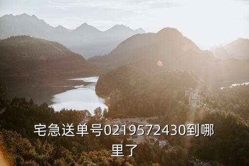 宅急送單號0219572430到哪里了