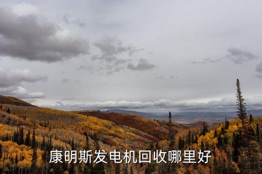 廣州50kw發(fā)電機(jī)回收，我想在廣州購買一臺二手康明斯50千瓦的柴油發(fā)電機(jī)不知價(jià)格如何