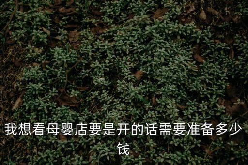 我想看母嬰店要是開的話需要準備多少錢