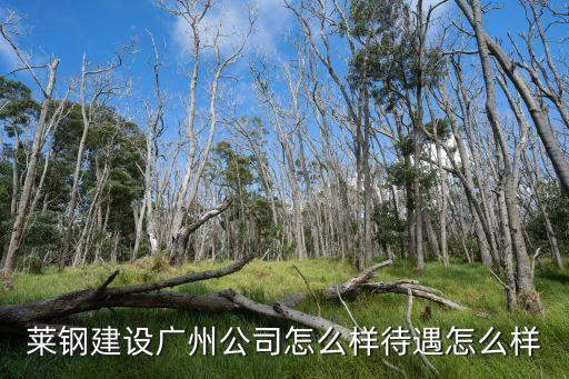 廣州華潔無紡布制品怎么樣，我有一噸貨發到新加坡或者馬來西亞走什么最合適最便宜