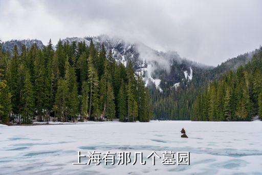 上海市墓園大全，上海有哪些墓地