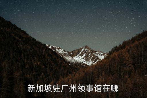 廣州總領館開放時間，春節美國駐廣州總領事館什么時候放假