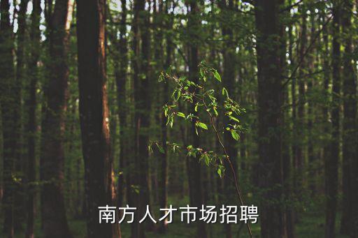 南方人才市場招聘