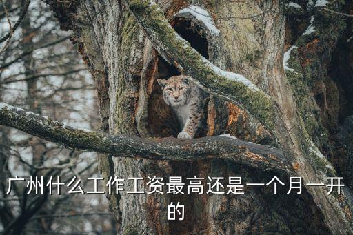 廣州什么行業(yè)工資最多，廣州有什么工作工資高