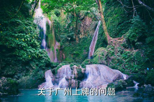 關于廣州上牌的問題