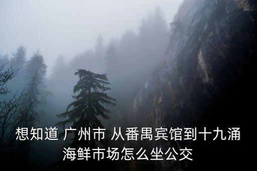 想知道 廣州市 從番禺賓館到十九涌海鮮市場怎么坐公交
