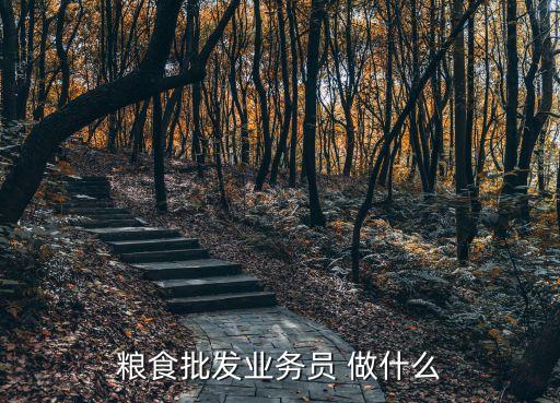 糧食批發業務員 做什么