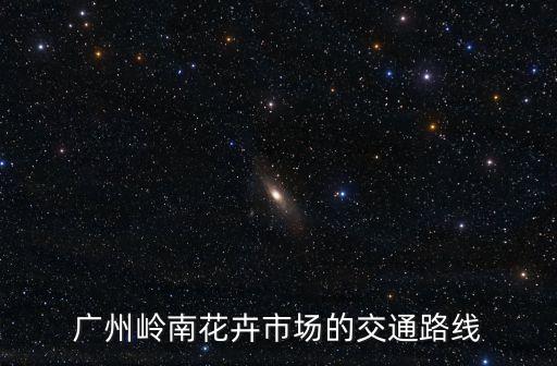 廣州嶺南花卉市場的交通路線