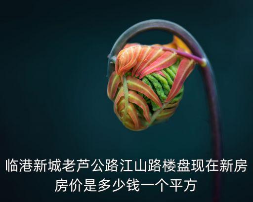 臨港新城老蘆公路江山路樓盤現(xiàn)在新房房價(jià)是多少錢一個(gè)平方